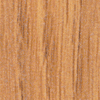 9155.gif (13957 bytes)